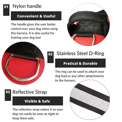 FORTIVUS™   - CUSTOM FIT NO-PULL DOG HARNESS