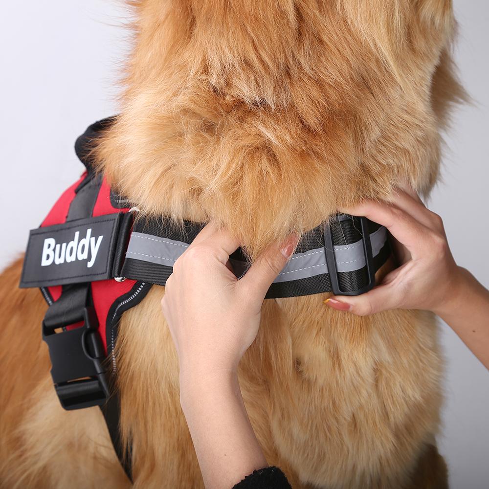 FORTIVUS™   - CUSTOM FIT NO-PULL DOG HARNESS