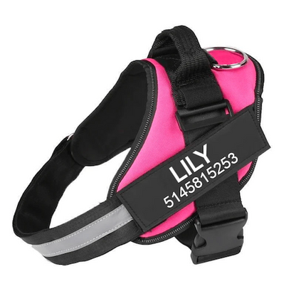 FORTIVUS™   - CUSTOM FIT NO-PULL DOG HARNESS